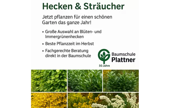 CF4E7E65-7E96-4D61-9C7A-4EE9D055EE04.png CF4E7E65-7E96-4D61-9C7A-4EE9D055EE04.png