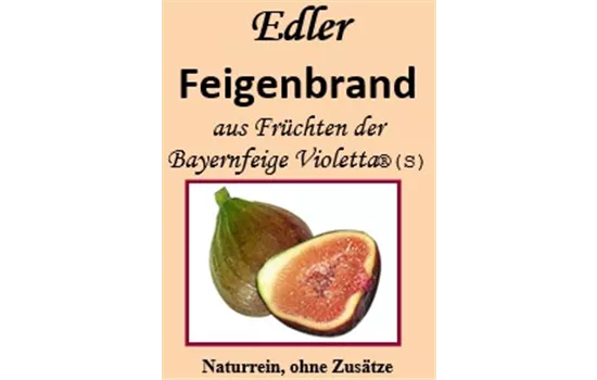 Feigenbrand Feigenbrand